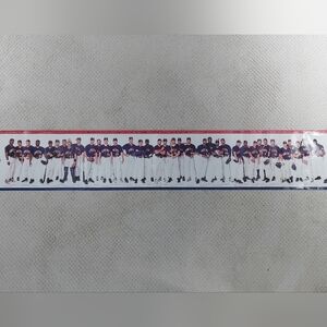 1999 Minnesota Twins baseball team panoramic poster featuring the whole team